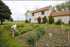 Jason Day, a teacher at St. Johnâs Jesuit Academy, gardens in rural Bowling Green.