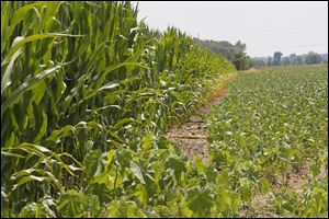 Corn and soybean farmers in Richfield Township in Lucas County are a small fraction of those who will be affected by the farm bill.