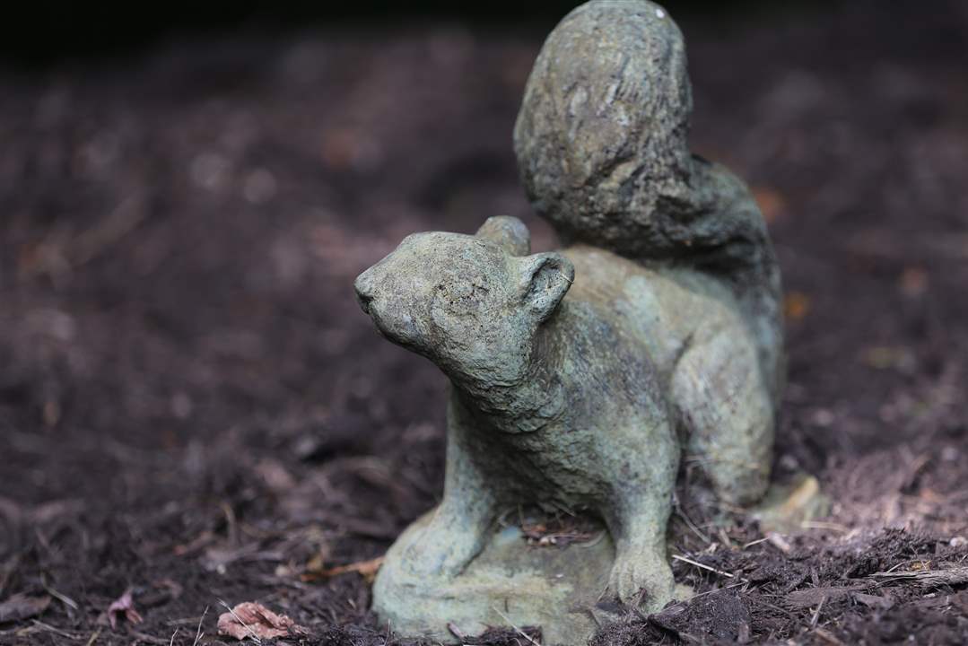 FEA-wiardavidlemon10p-10