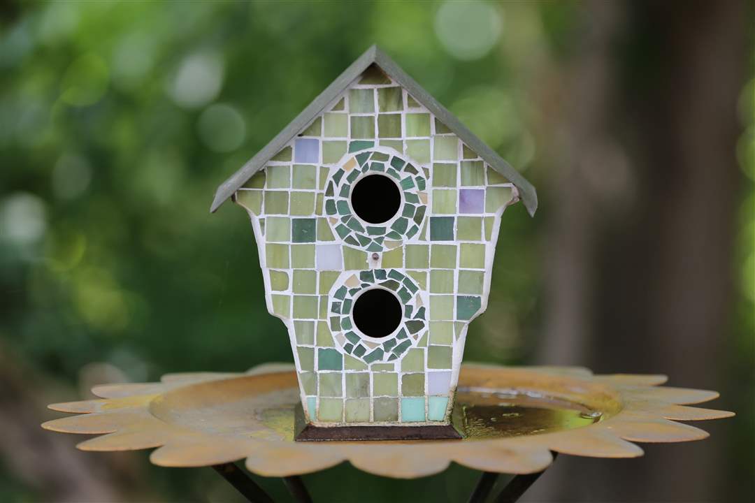 FEA-wiardavidlemon10p-5