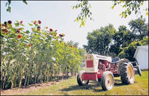 Chuck Sattler’s tractor sits next to his garden in Maumee.