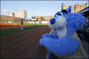 Toledo Walleye mascot Catrick keeps an eye on the game at Fifth Third Field, 