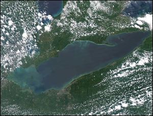 This satellite image shows the green algae currently on Lake Erie. 
