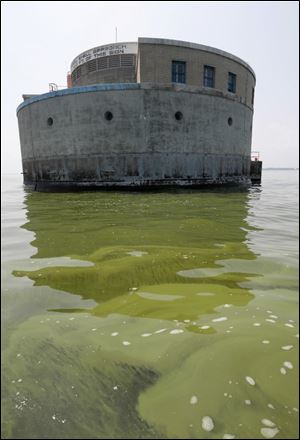 Algae surrounds the city of Toledo’s  water intake crib in Lake Erie. 