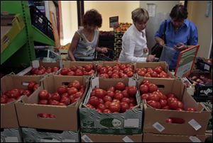 Women choose Dutch tomatoes at a supermarket in downtown Moscow today. The ban on all imports of meat, fish, milk and milk products and fruit and vegetables from the United States, the European Union, Australia, Canada and Norway has been introduced for one year. 