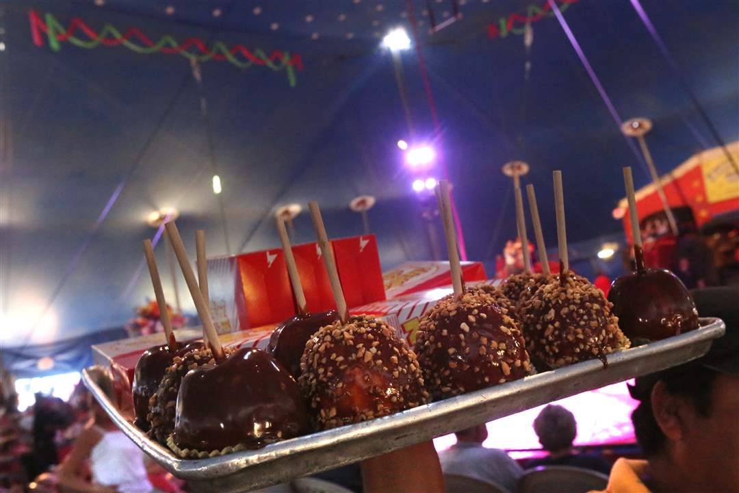 WebSylCIRCUS08p-carnival-food