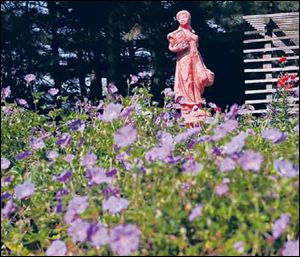 'Rozanne perennial geranium' surround a statue.