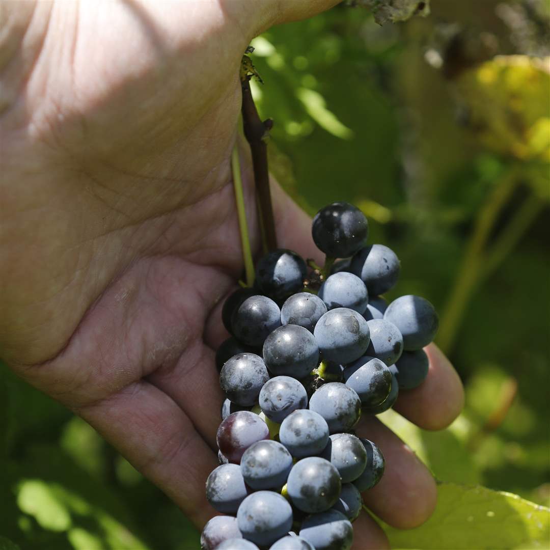 8768d0fb-3ab3-4b97-9227-ff7de9949a1d