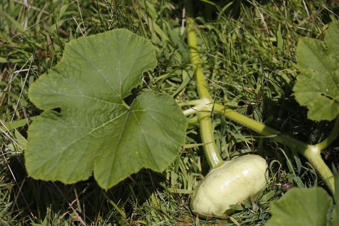 1413c68c-3eda-478c-a8e2-4b12929af2ca