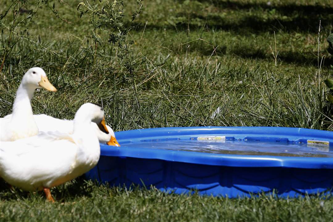 82f4bd3c-b28a-4fab-b442-d963babd192a