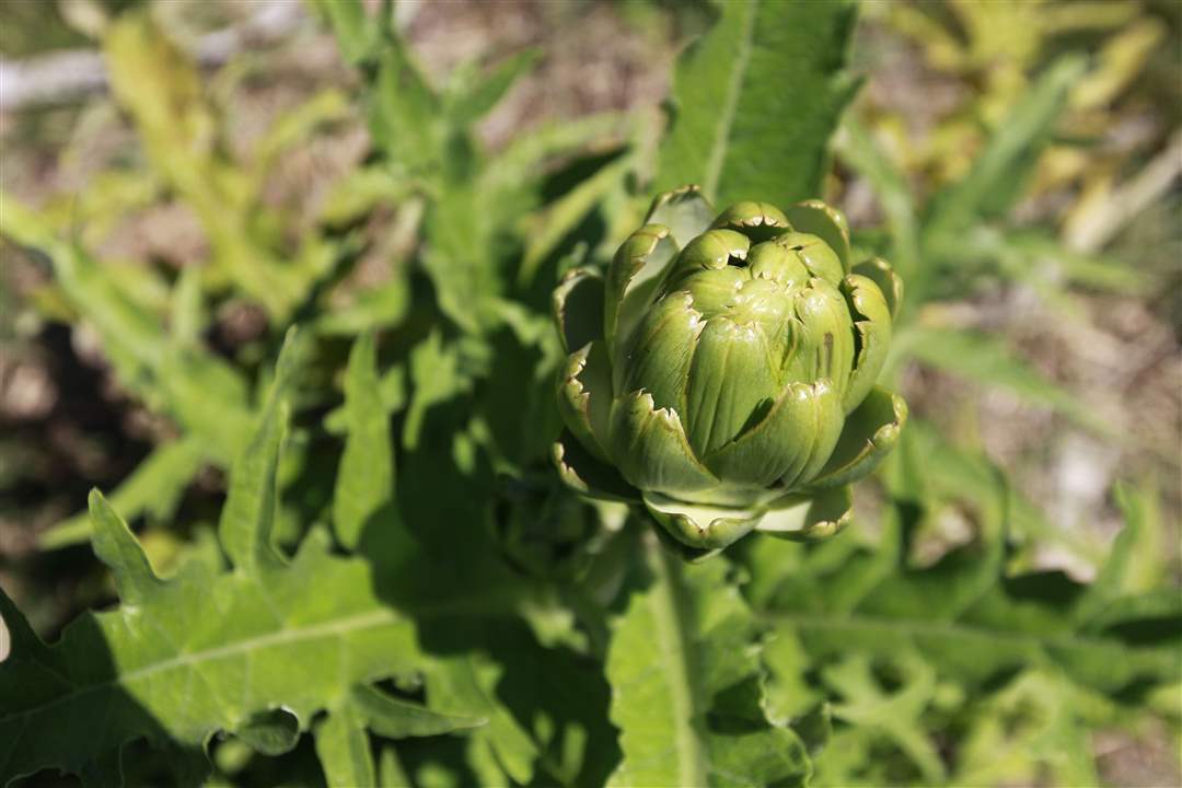 b48a5e2b-5e25-4e46-b3cf-6b9e7cd19a99