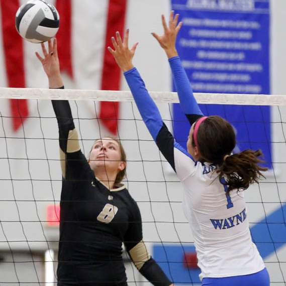 SPT-NLLvolleyball5p-2