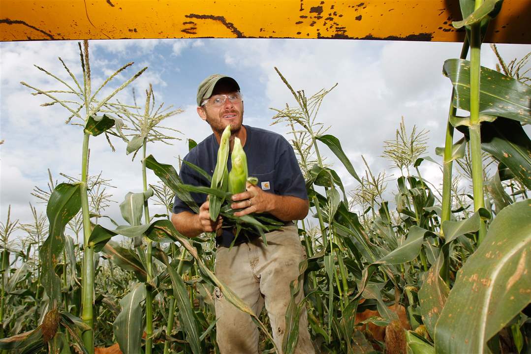 farm16-Shared-Legacy-Farms