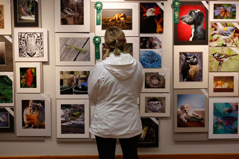 NBR-OtSylphotocenter05p-5