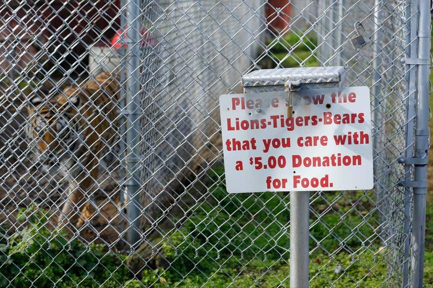 Tiger-Ridge-Exotics-donation-box