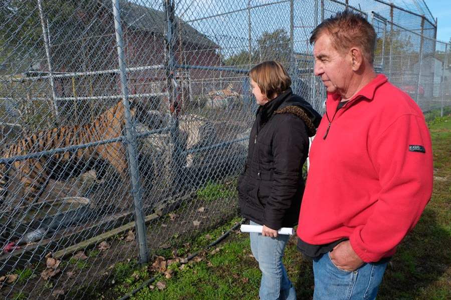 Tiger-Ridge-Exotics-hetrick-and-cole