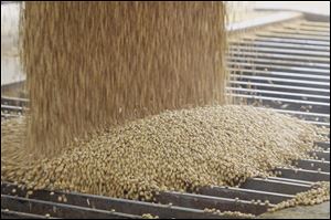 Soybeans are unloaded at the DeLong Co. About 120 farmers are contracted to grow non-GMO beans for its Asian customers, who prefer the soybeans grown in Indiana, Ohio, and Michigan.