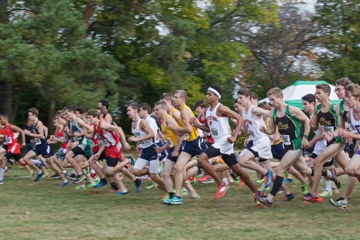 SPT-districtcross19p