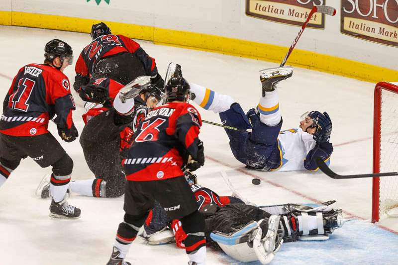 SPT-Walleye19p-1