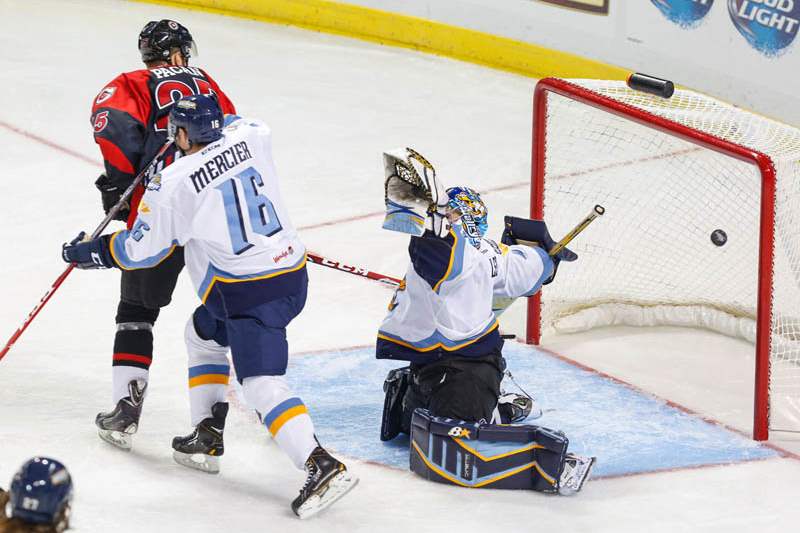 SPT-Walleye19p-3