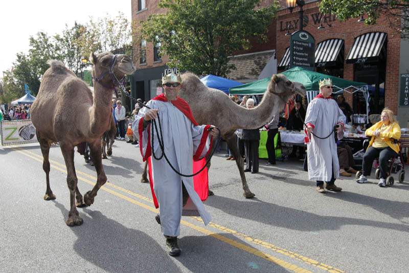 WebSylFALLFEST19p-16