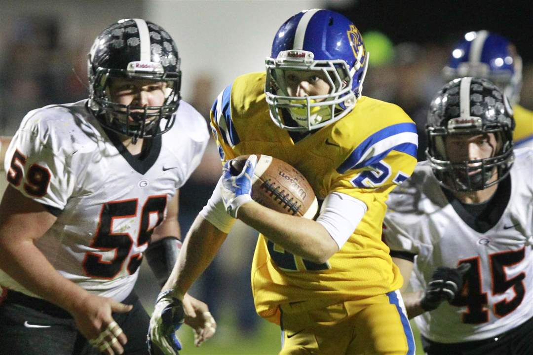 SPT-TAACfball24p-woody