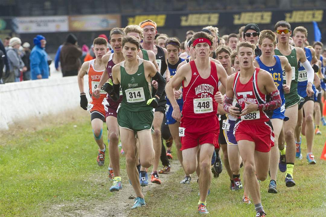 STATE-H-S-CROSS-COUNTRY-SVSM