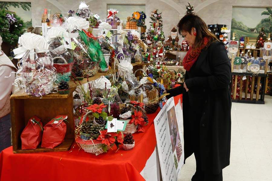 WebSylstelias08p-Merri-Flisnik