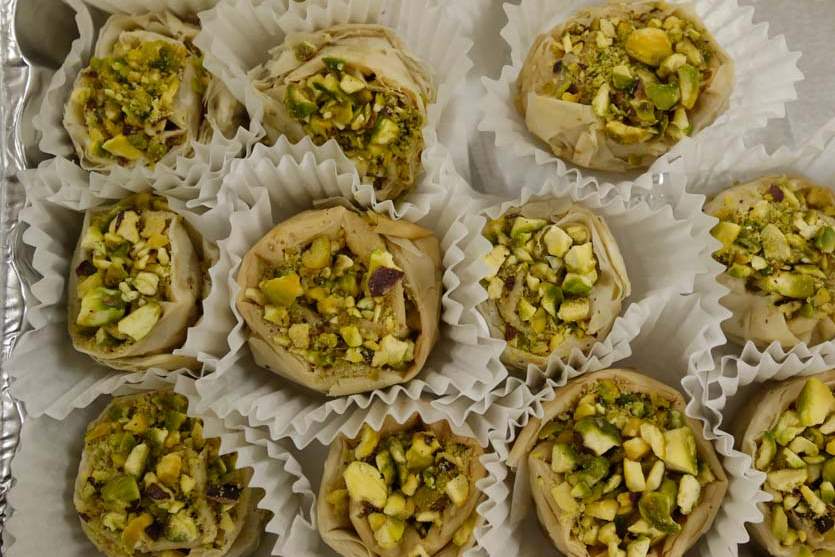 WebSylstelias08p-bird-s-nest