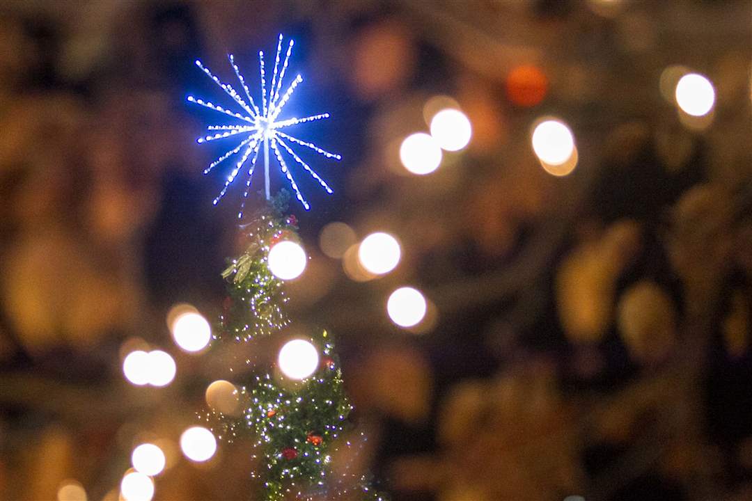 WEB-Webpbg-levis22-tree