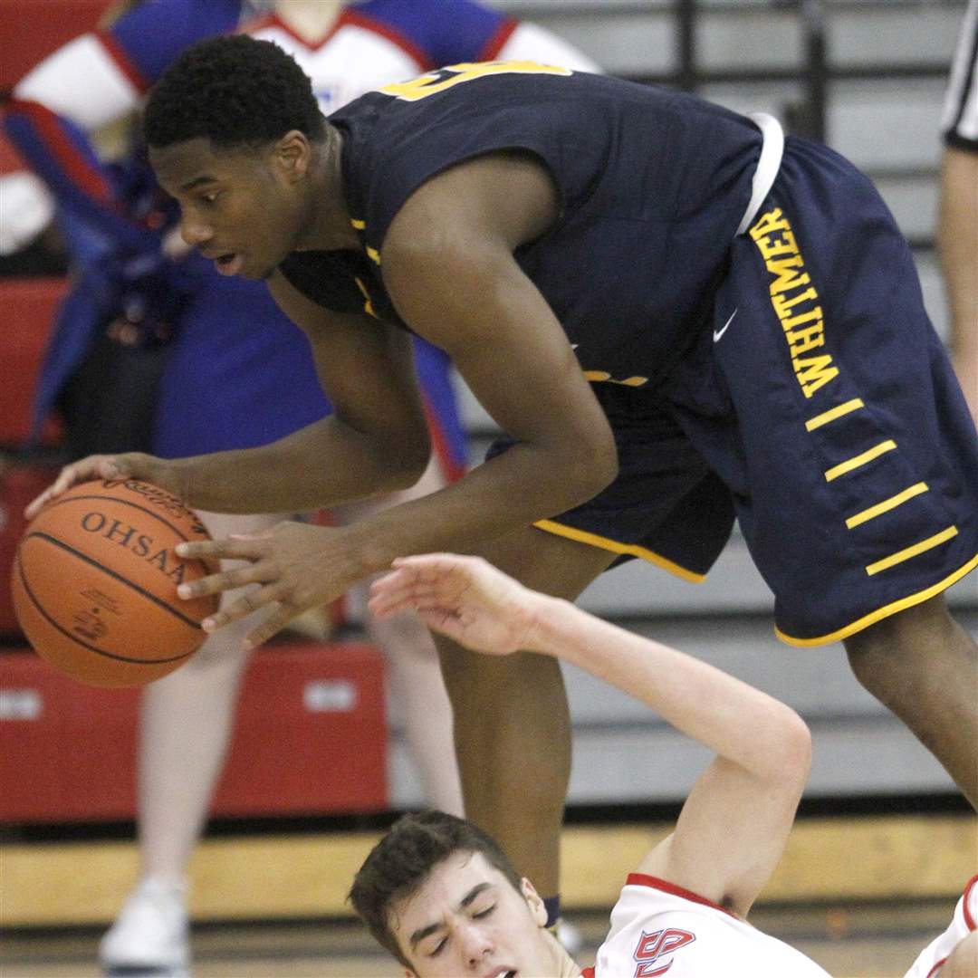 SPT-SFwhitmer13p-steal