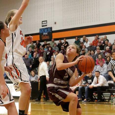 OtsegoGenoa20p-gose-fs-forshey