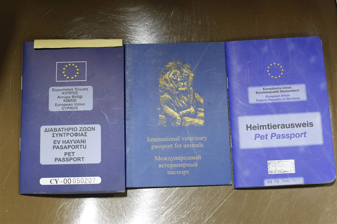 MAG-catshow22-pet-passport