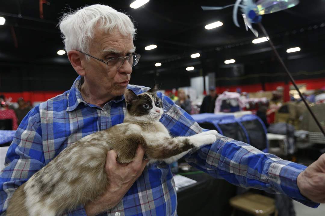 MAG-catshow22-Tailor-Swiff