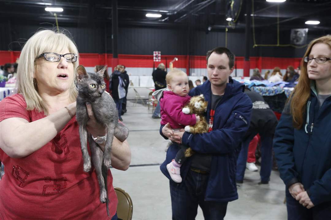 MAG-catshow22-Wolfie