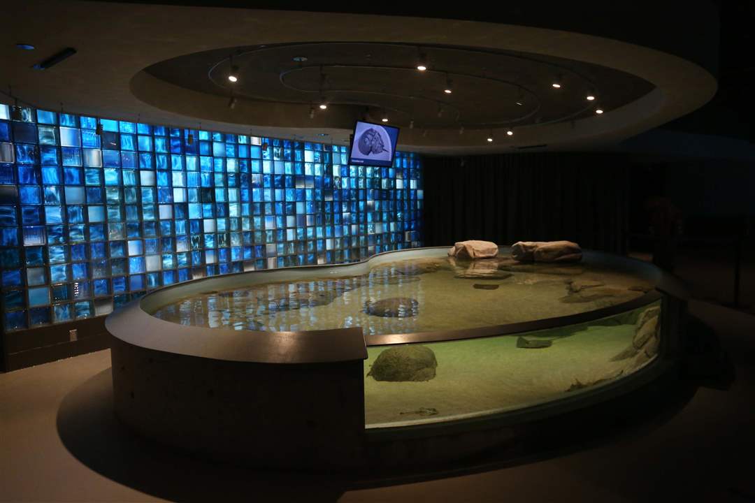 AQUARIUM15p-touch-tank