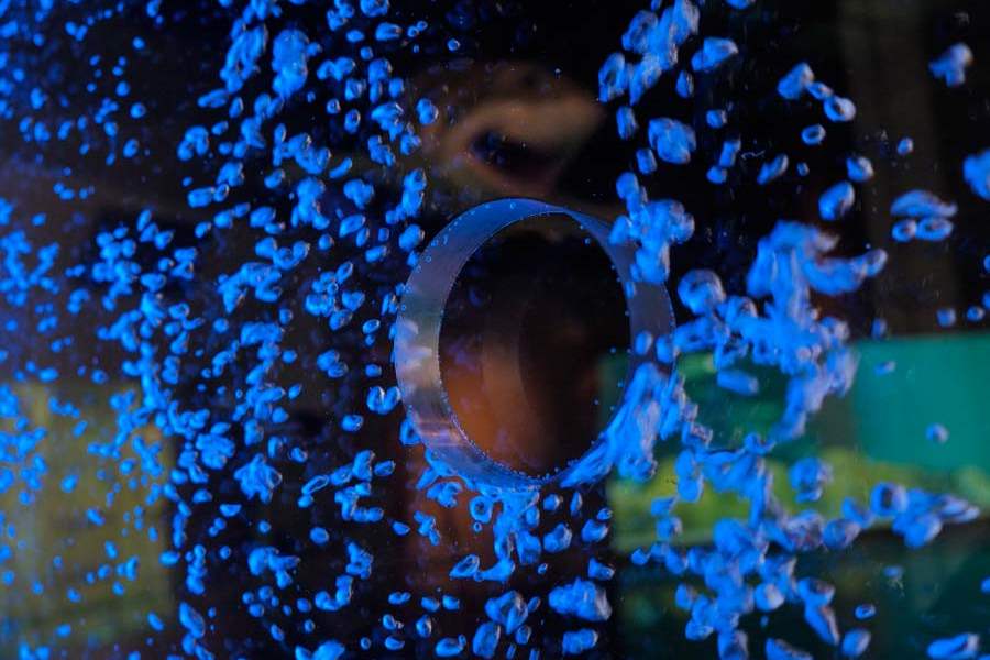 FEA-aquarium06p-acquarium