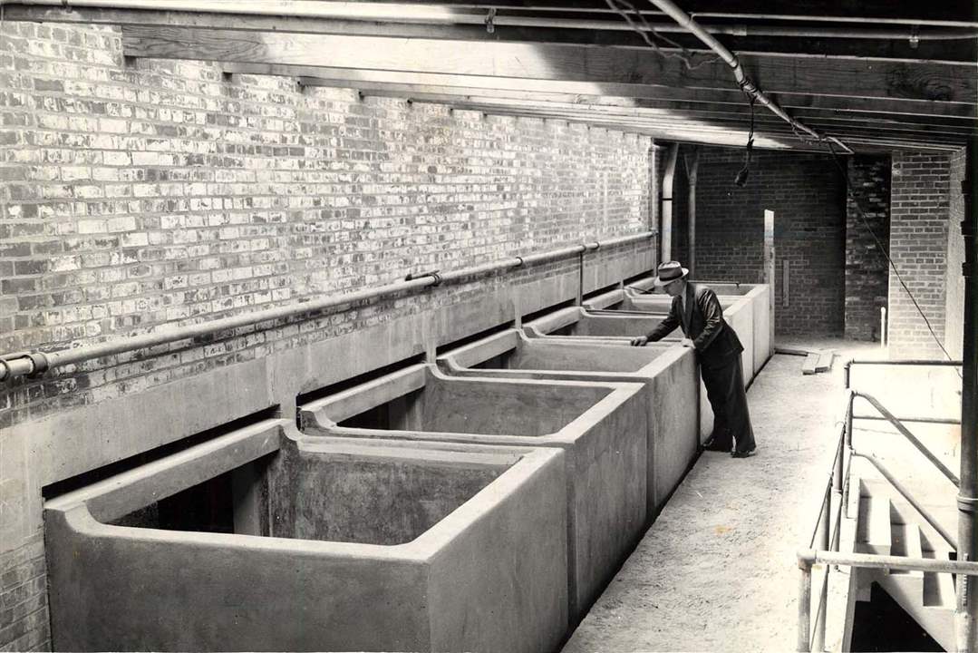 Aquarium-Hazen-Schofield