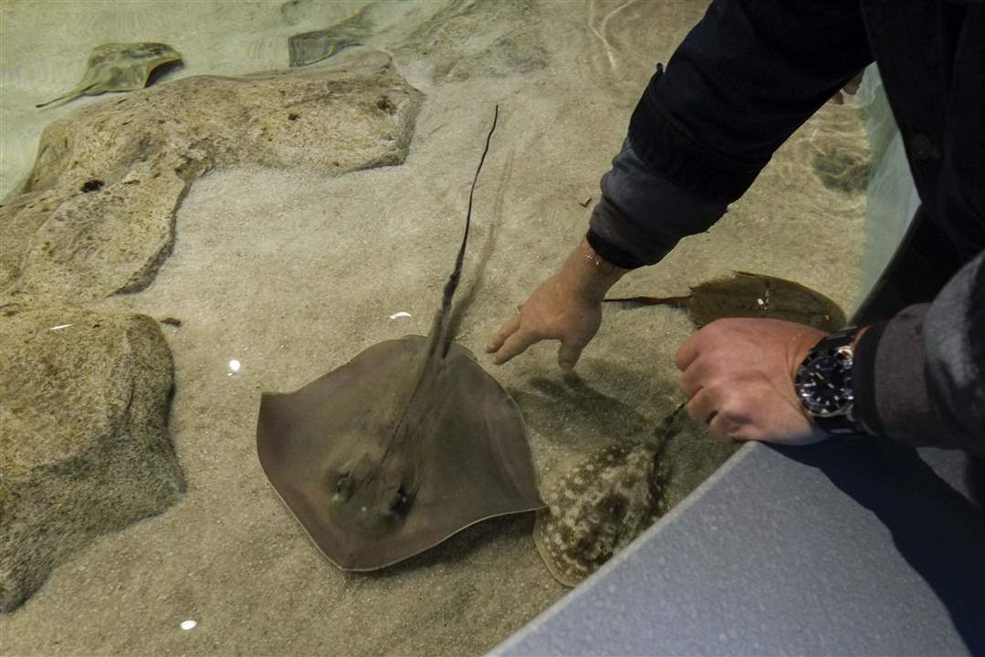 CTY-AQUARIUM28p-touch-tank