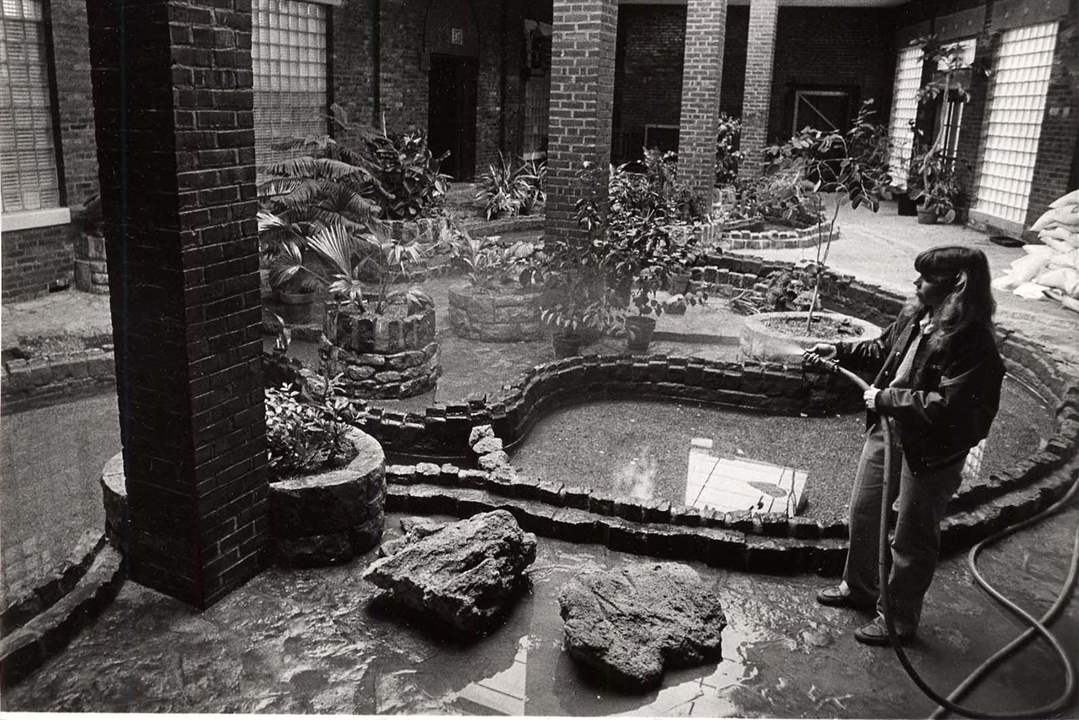 Aquarium-1-jpg-Horticulturist-Nancy-Bucher