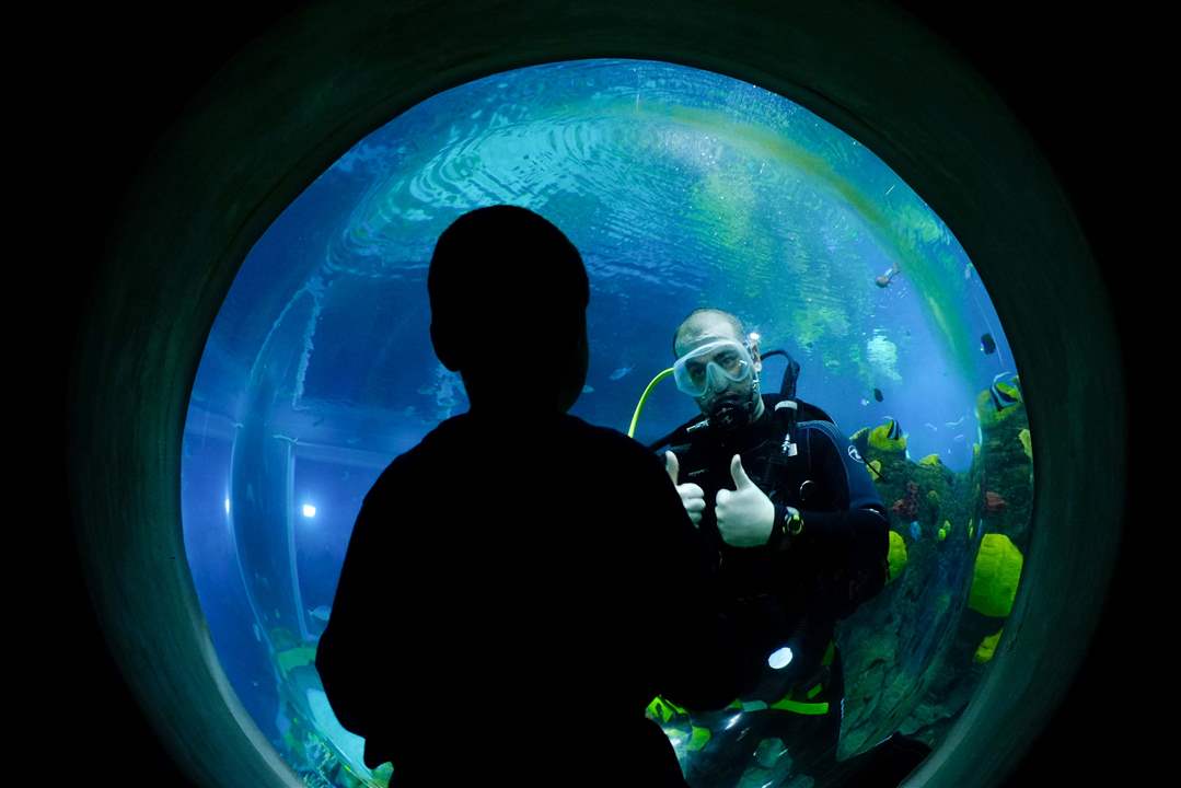 CTY-AQUARIUM28p-David-Gauthier