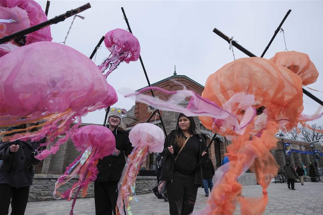 CTY-AQUARIUM28p-Lizzie-Nuhfer