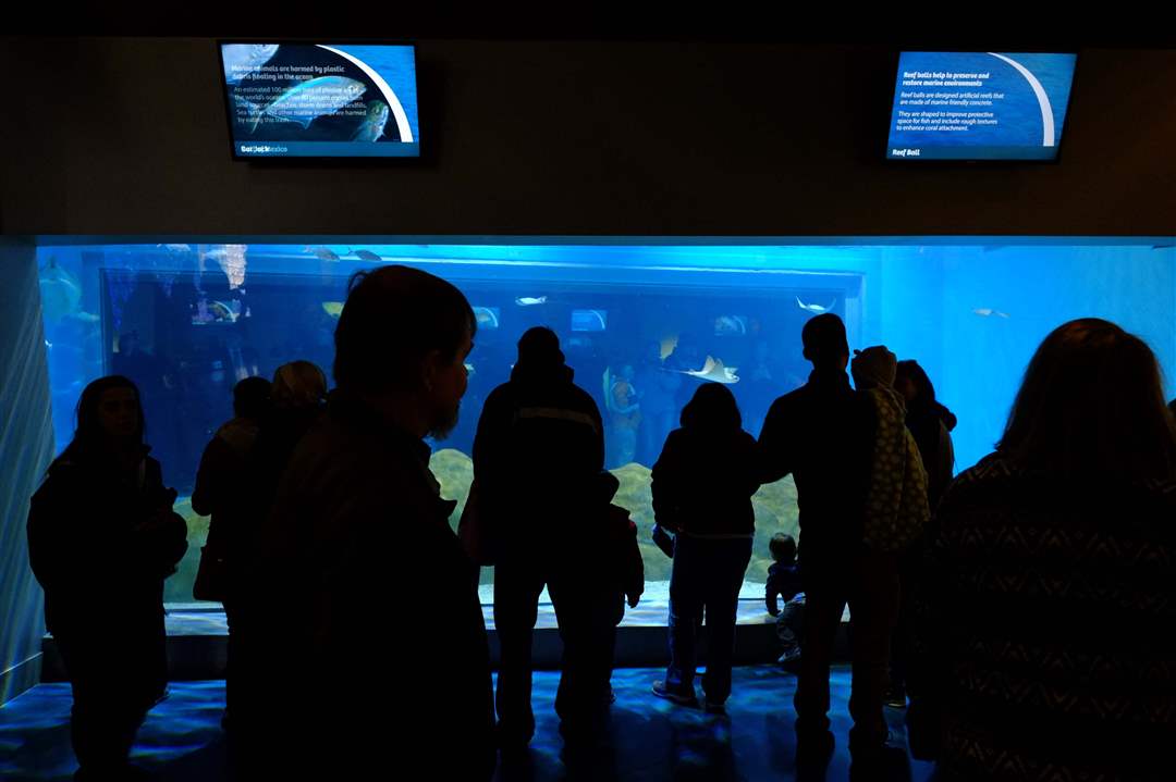 CTY-AQUARIUM28p-patrons-Gulf