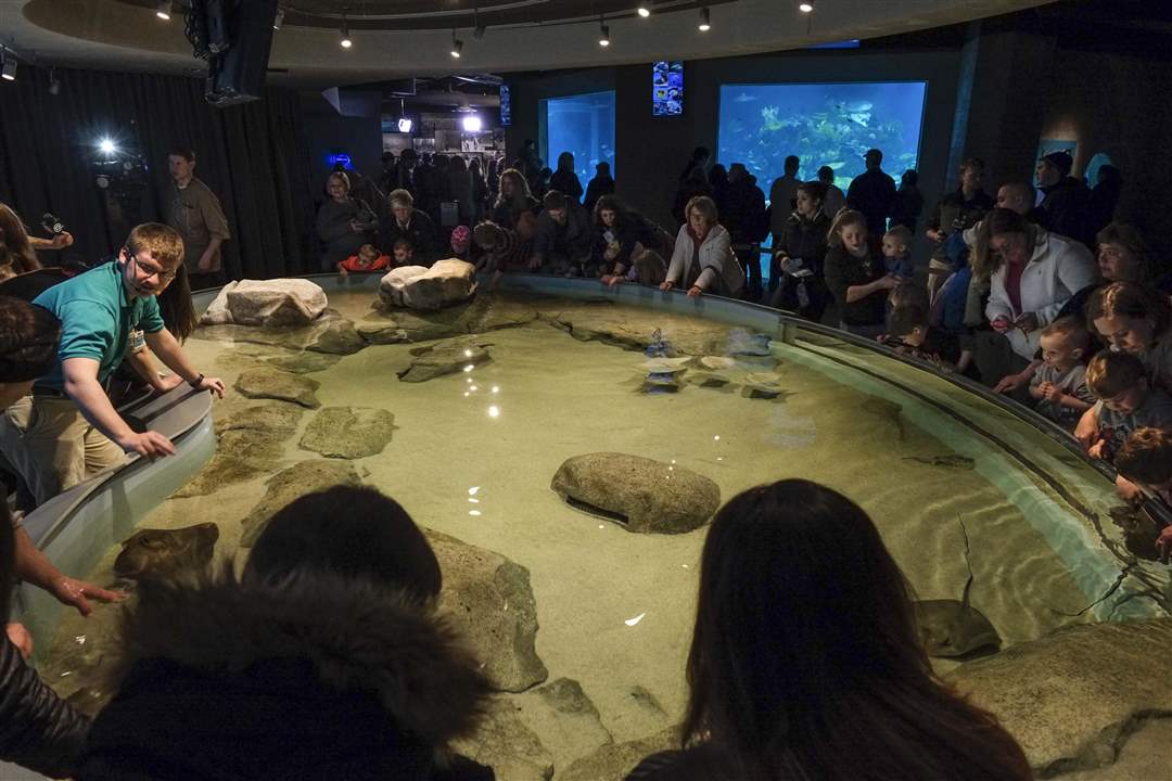 CTY-AQUARIUM28p-patrons