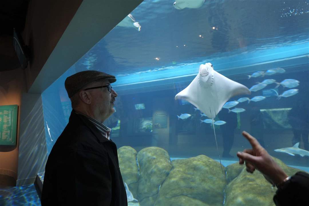 aquarium28p-Ron-Hanna-Rudolph-Libbe