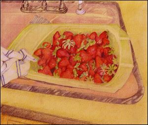 ‘Strawberries in the Sink’ is the work of Candace Hardy, whose ‘American Sampler’ show opens this weekend at Downtown Latte, 44 S. St. Clair St. A reception will be from 11 a.m. to 1 p.m. Saturday. 