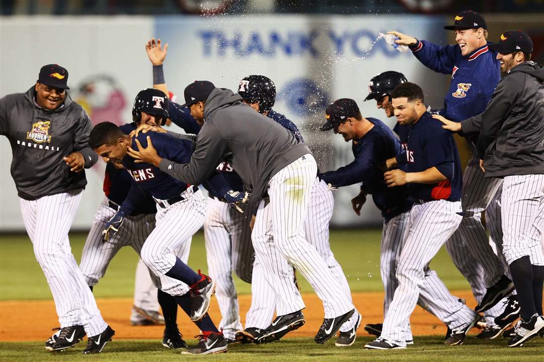 SPT-hens17p-jubilation