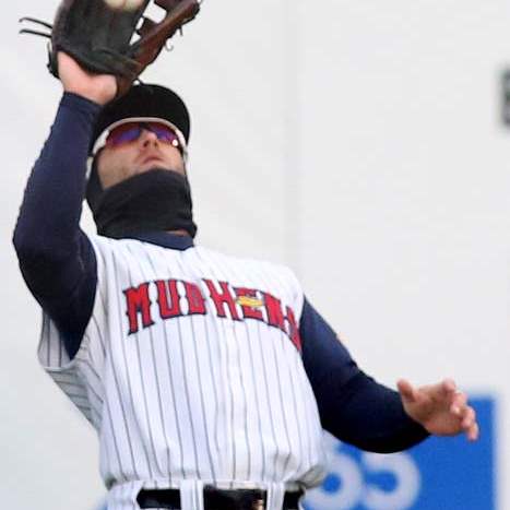 Hens24p-collins