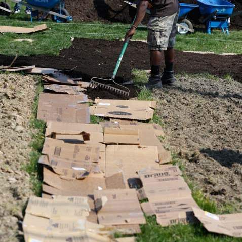 FEA-zepfgarden18p-david-gant-garden-cardboard