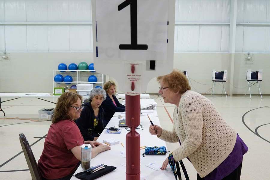 CTY-michiganvotes05p-ruth-anderson